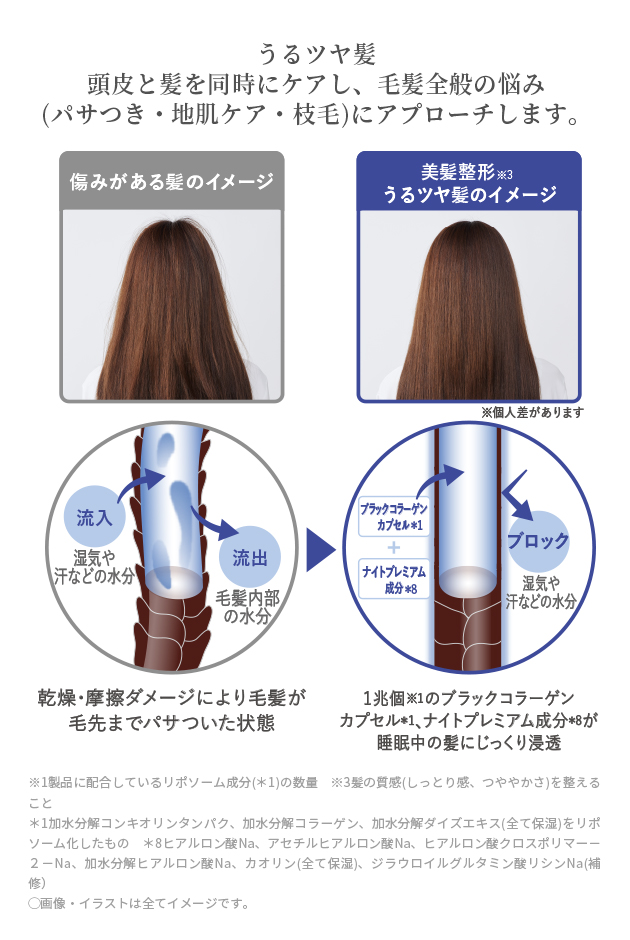 ナイトプレミアム処方