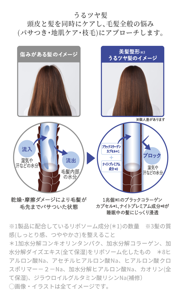 ナイトプレミアム処方