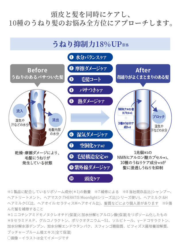ナイトプレミアム処方